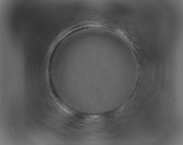 X0000073450151200607281230