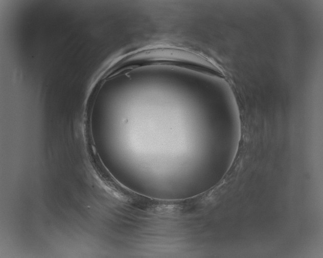 X0000073450152200607281230