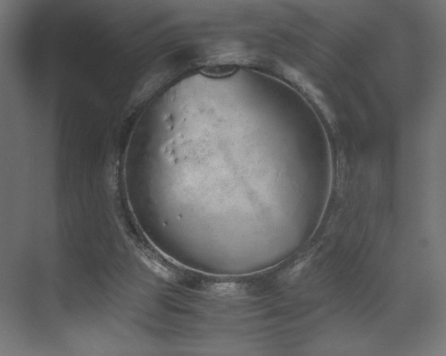 X0000073450153200607281230