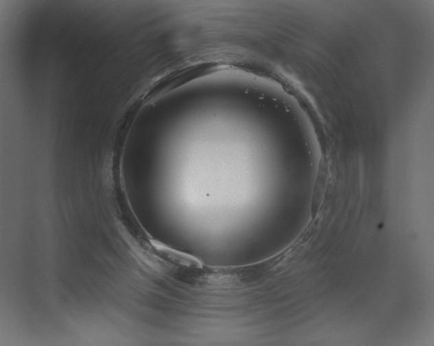 X0000073450154200607281230