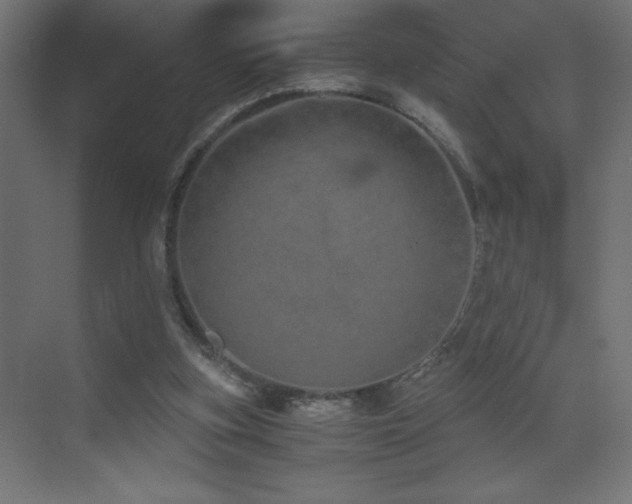 X0000073450155200607281230