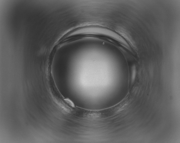 X0000073450156200607281230