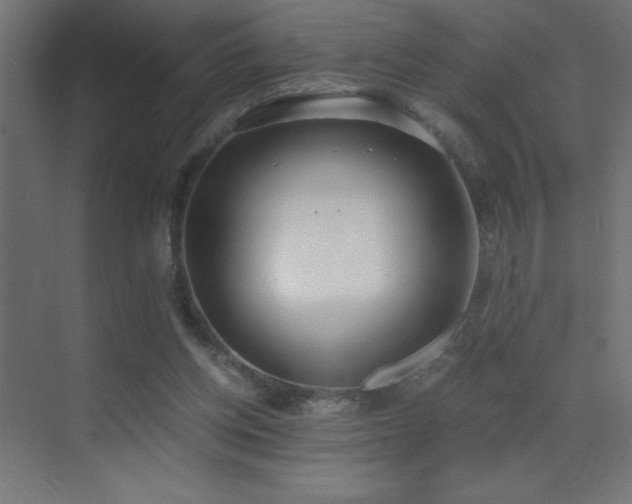 X0000073450158200607281230