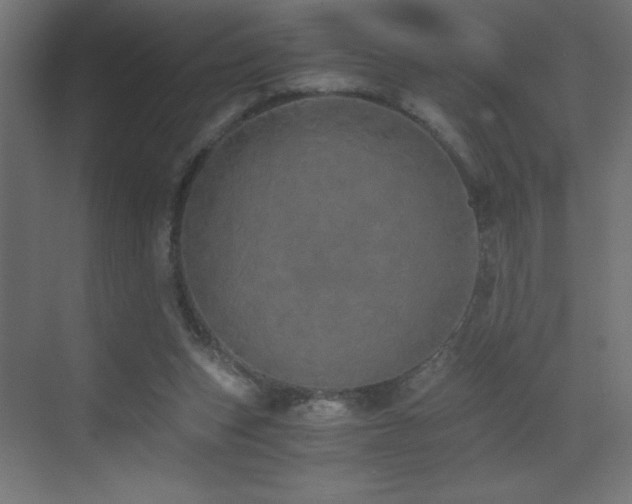 X0000073450159200607281230