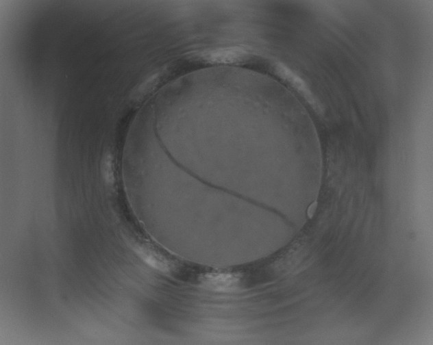 X0000073450161200607281230