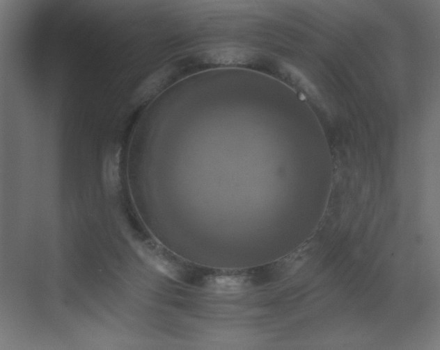 X0000073450163200607281230