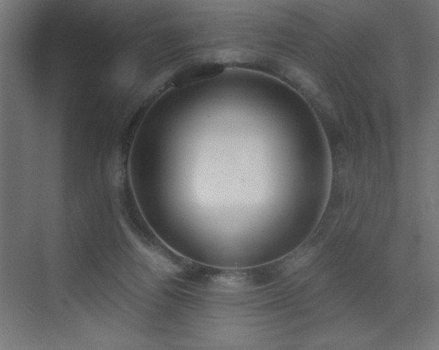 X0000073450164200607281230