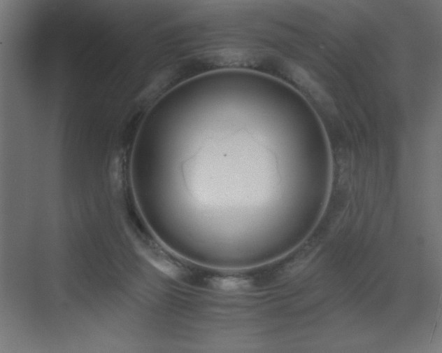 X0000073450165200607281230