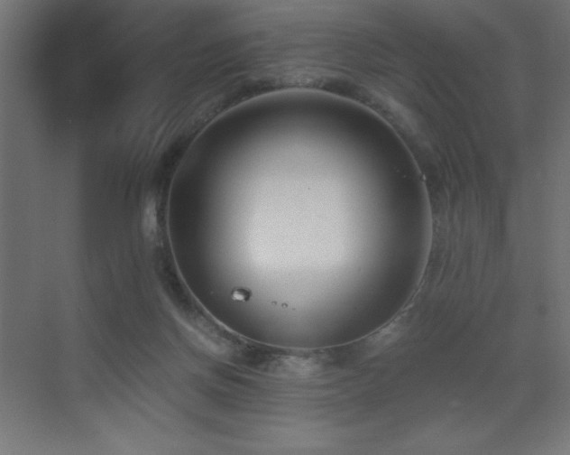 X0000073450166200607281230