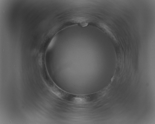 X0000073450167200607281230