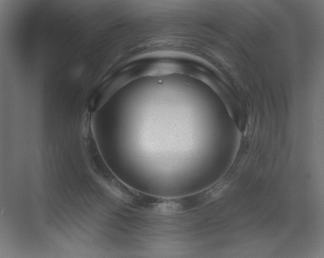 X0000073450168200607281230