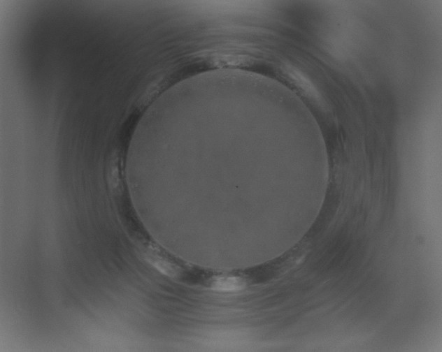 X0000073450169200607281230