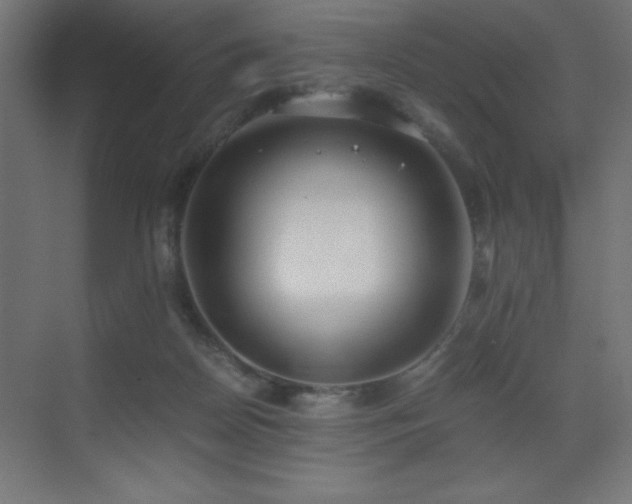 X0000073450170200607281230