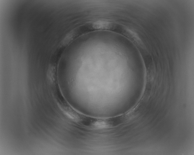 X0000073450171200607281230