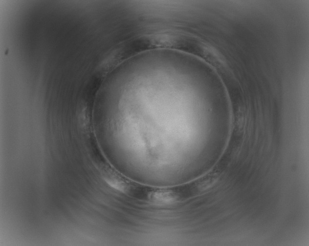 X0000073450173200607281230