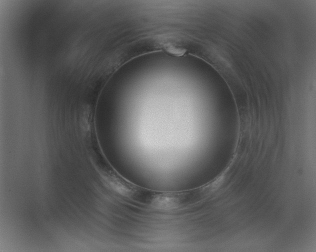 X0000073450174200607281230