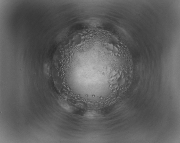 X0000073450177200607281230