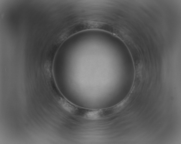 X0000073450178200607281230