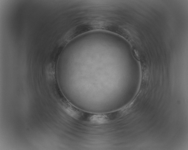 X0000073450179200607281230