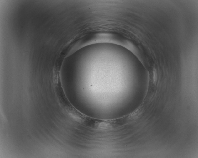 X0000073450180200607281230