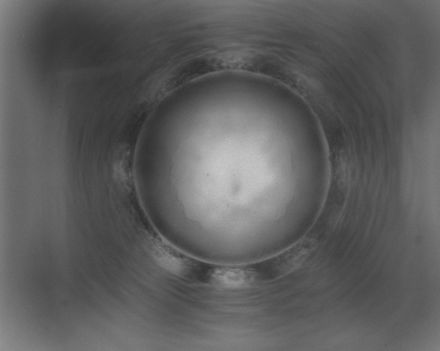 X0000073450181200607281230