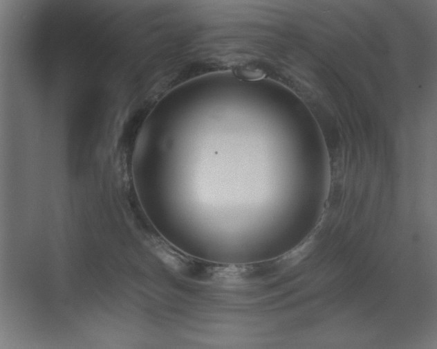 X0000073450182200607281230