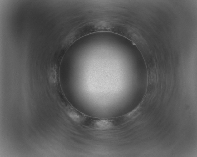 X0000073450183200607281230