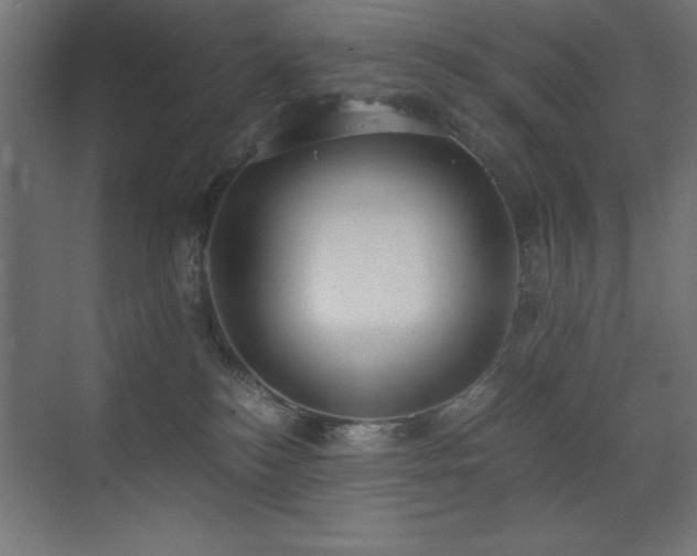 X0000073450184200607281230