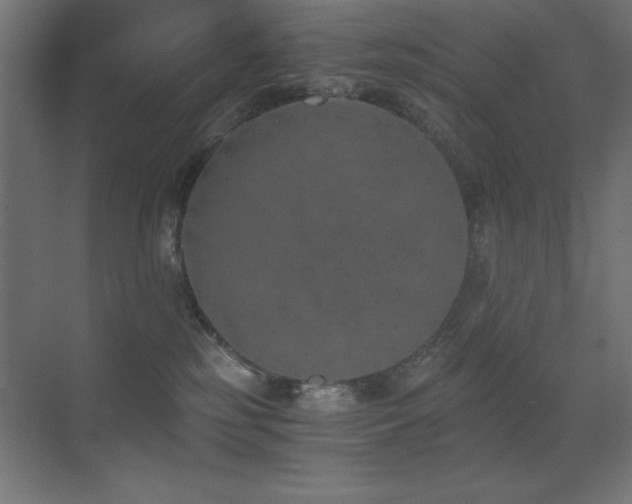 X0000073450185200607281230