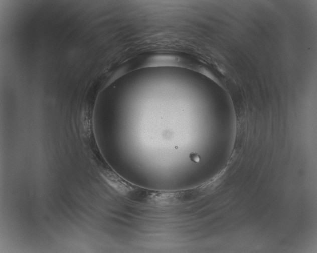 X0000073450186200607281230