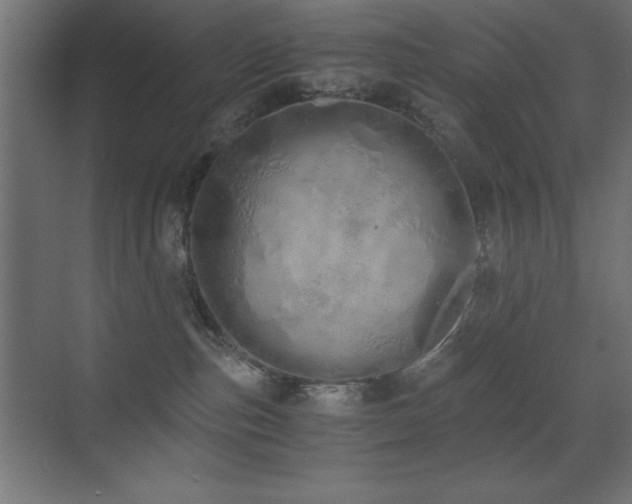 X0000073450187200607281230