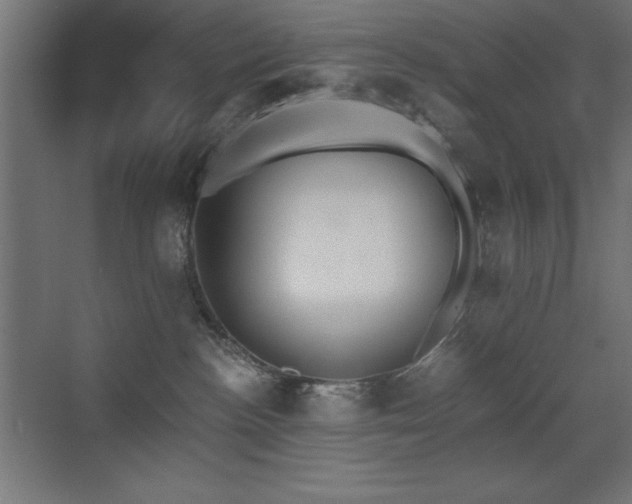 X0000073450188200607281230