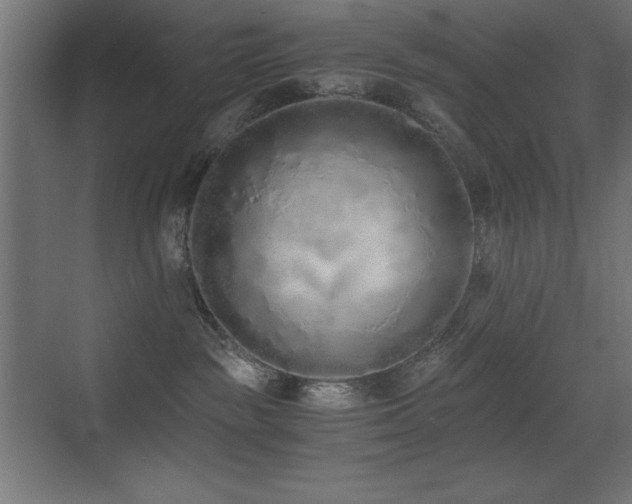 X0000073450189200607281230