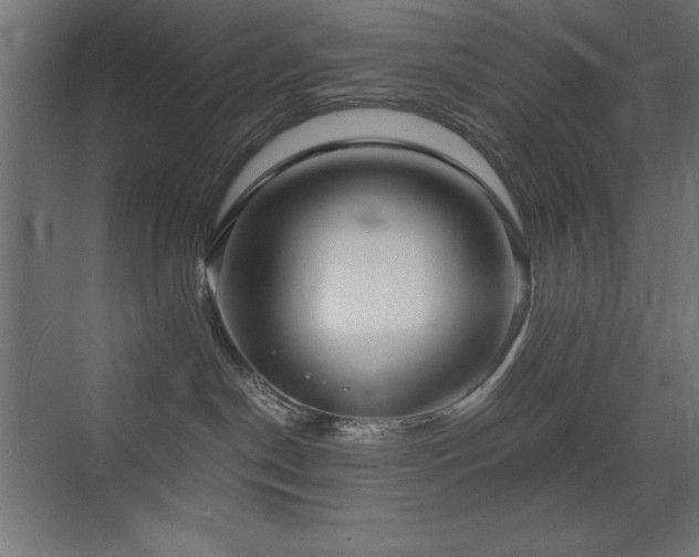 X0000073450190200607281231