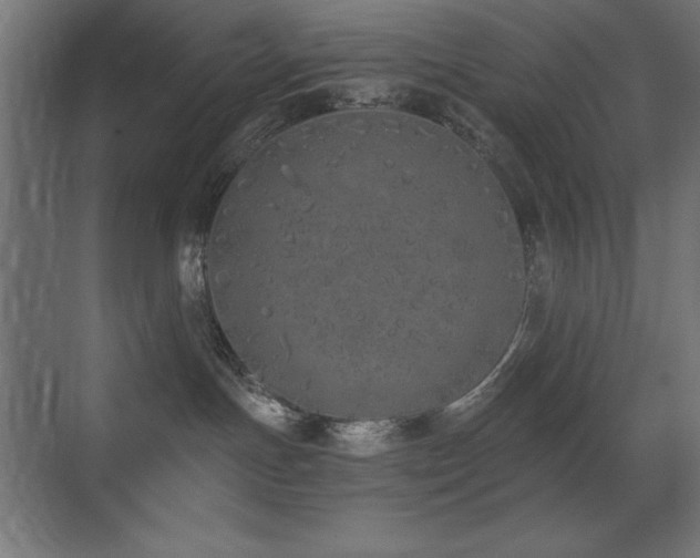 X0000073450191200607281231