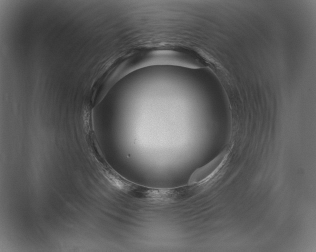 X0000073450192200607281231