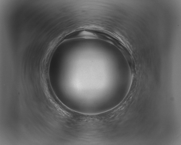 X0000073450193200607281230