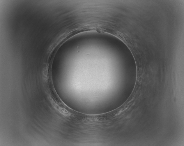 X0000073450194200607281230