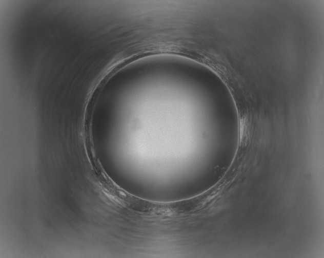 X0000073450195200607281230