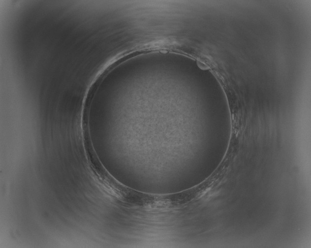 X0000073450196200607281230