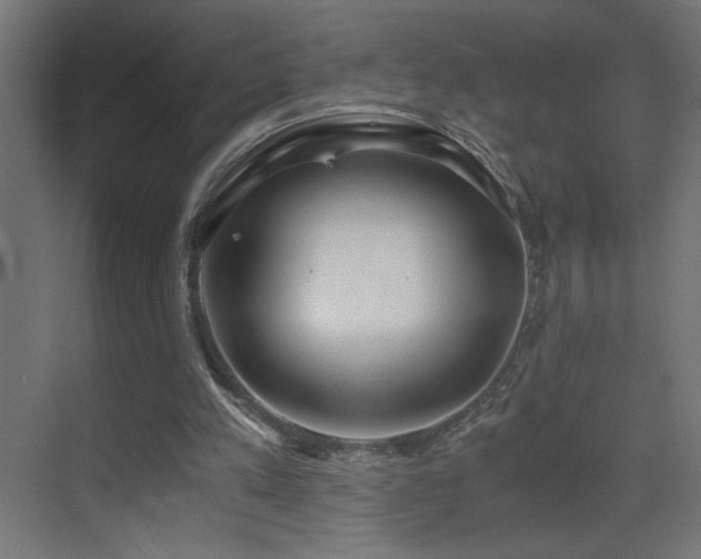 X0000073450197200607281230