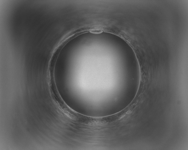 X0000073450198200607281230