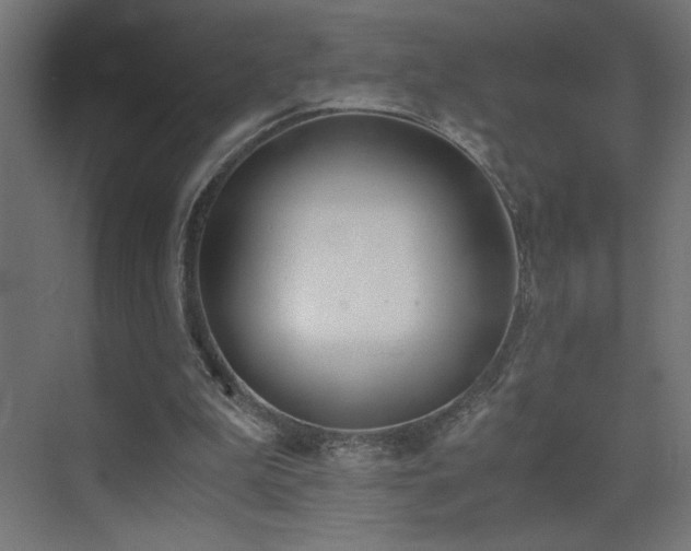 X0000073450199200607281230