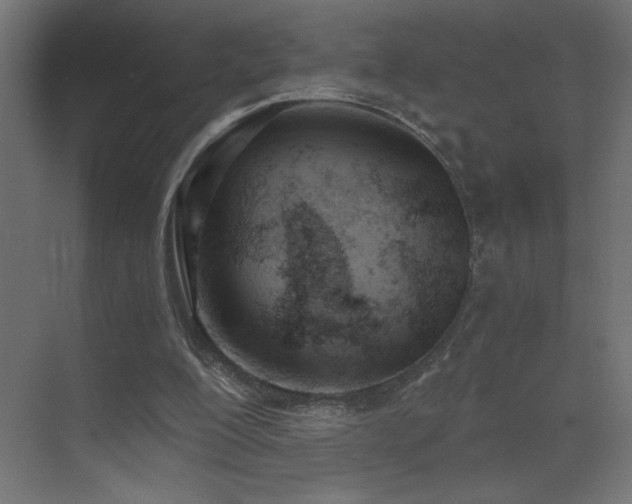 X0000073450200200607281230