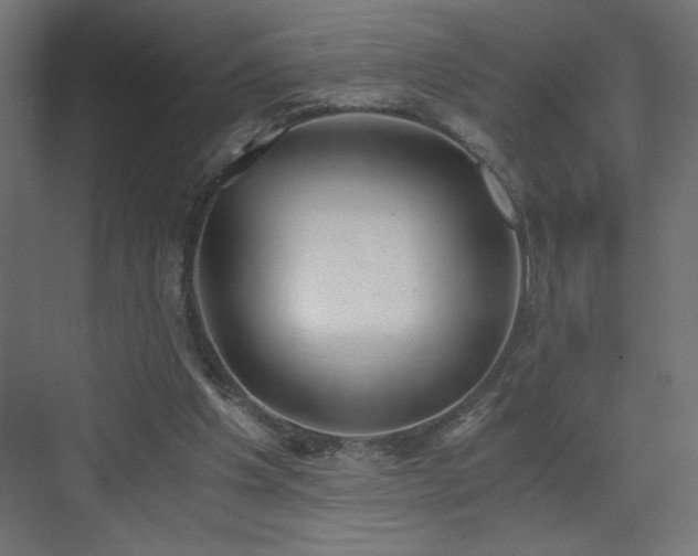 X0000073450201200607281230