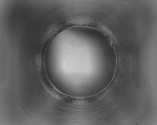 X0000073450202200607281230