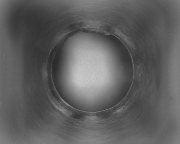 X0000073450203200607281230