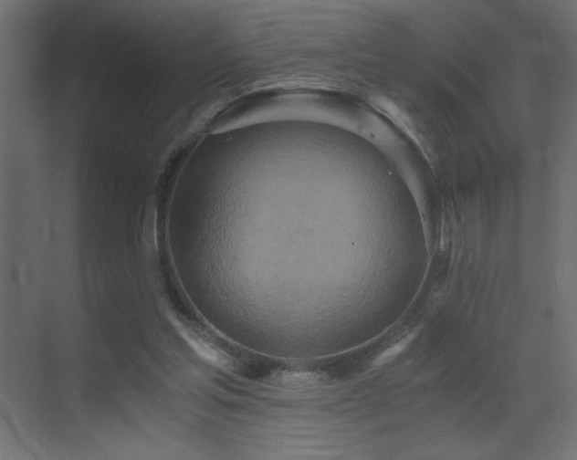 X0000073450205200607281230