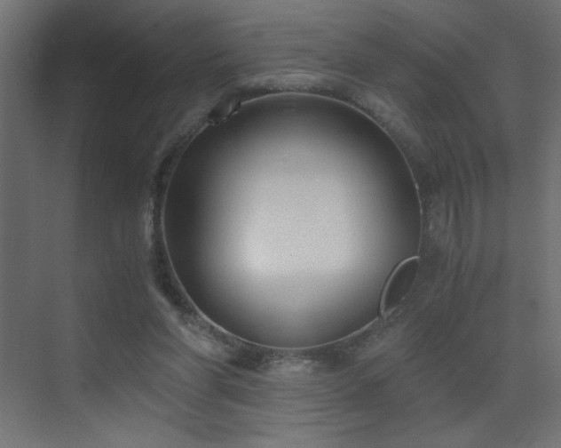 X0000073450206200607281229