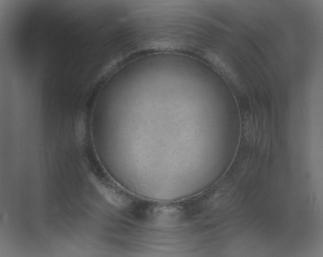 X0000073450208200607281229